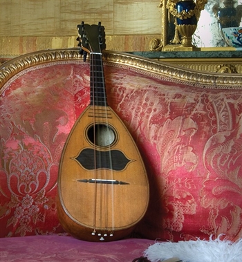 Picture of a musical instrument